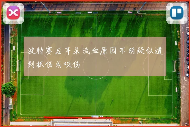 波特赛后耳朵流血原因不明疑似遭到抓伤或咬伤