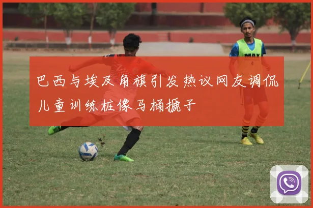 巴西与埃及角旗引发热议网友调侃儿童训练桩像马桶搋子